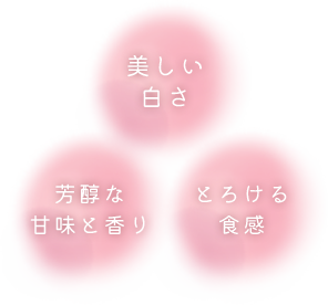 美しい白さ 芳醇な甘味と香り とろける食感