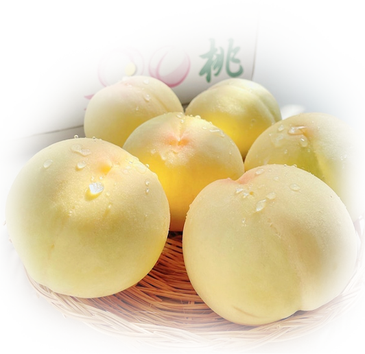 TANABE FARMの白桃ってどんな特徴があるの?